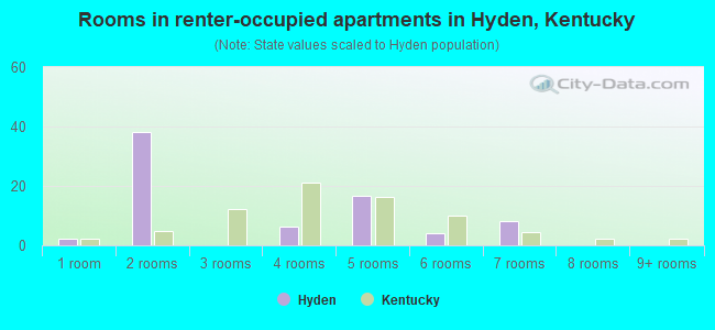 Rooms in renter-occupied apartments in Hyden, Kentucky