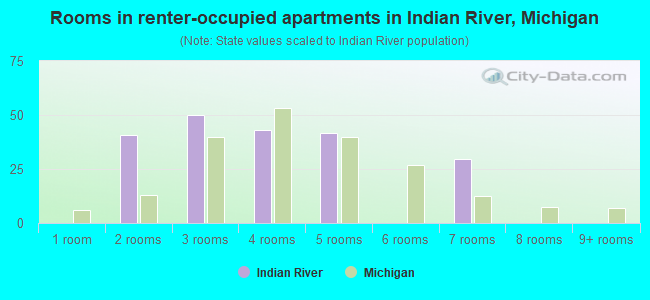 Rooms in renter-occupied apartments in Indian River, Michigan