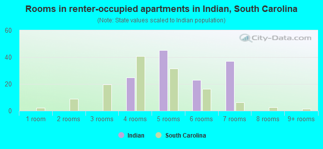Rooms in renter-occupied apartments in Indian, South Carolina