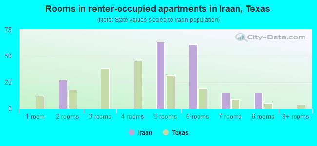 Rooms in renter-occupied apartments in Iraan, Texas