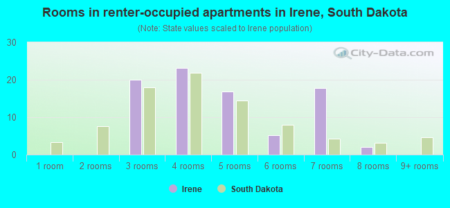 Rooms in renter-occupied apartments in Irene, South Dakota