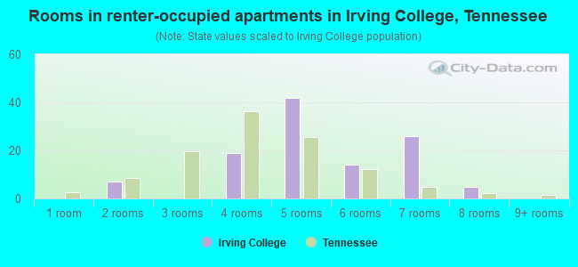 Rooms in renter-occupied apartments in Irving College, Tennessee