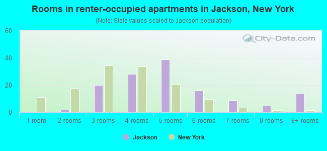 Rooms in renter-occupied apartments in Jackson, New York