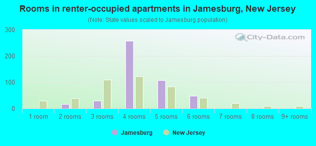 Rooms in renter-occupied apartments in Jamesburg, New Jersey