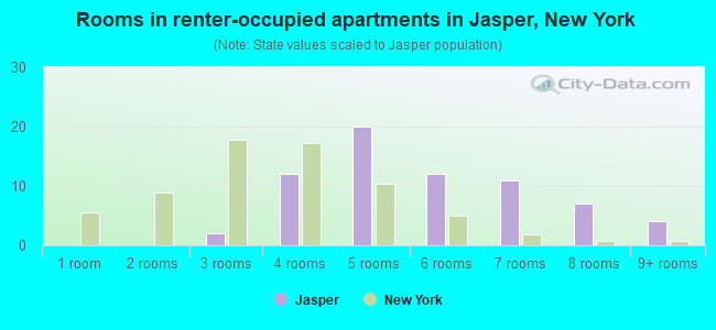 Rooms in renter-occupied apartments in Jasper, New York
