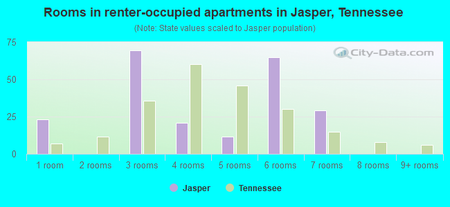 Rooms in renter-occupied apartments in Jasper, Tennessee