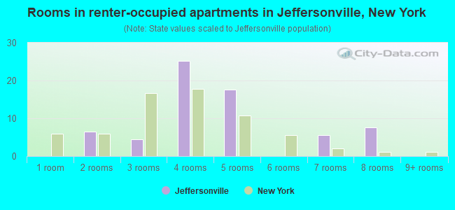 Rooms in renter-occupied apartments in Jeffersonville, New York