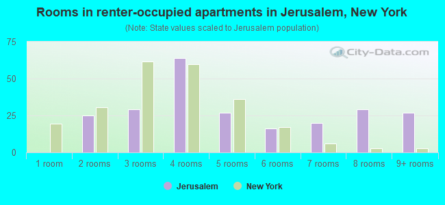 Rooms in renter-occupied apartments in Jerusalem, New York