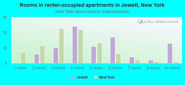 Rooms in renter-occupied apartments in Jewett, New York