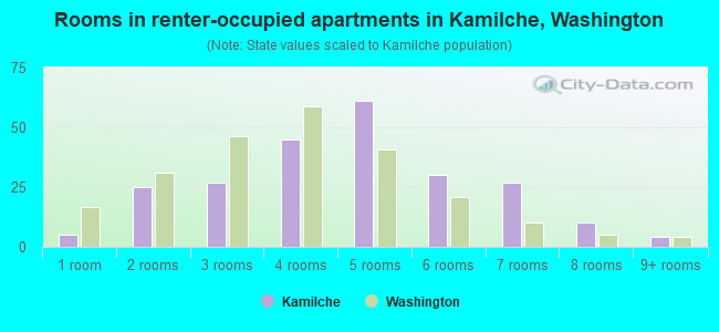 Rooms in renter-occupied apartments in Kamilche, Washington