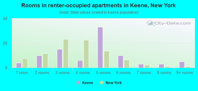 Rooms in renter-occupied apartments in Keene, New York