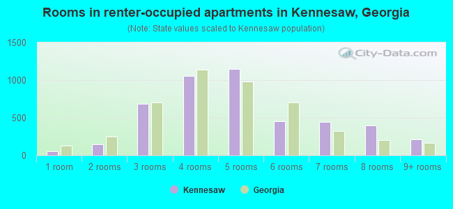 Rooms in renter-occupied apartments in Kennesaw, Georgia