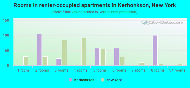 Rooms in renter-occupied apartments in Kerhonkson, New York