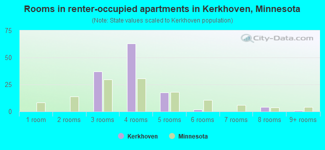 Rooms in renter-occupied apartments in Kerkhoven, Minnesota
