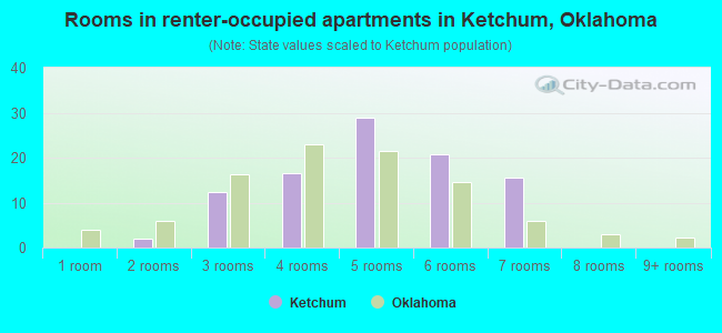 Rooms in renter-occupied apartments in Ketchum, Oklahoma