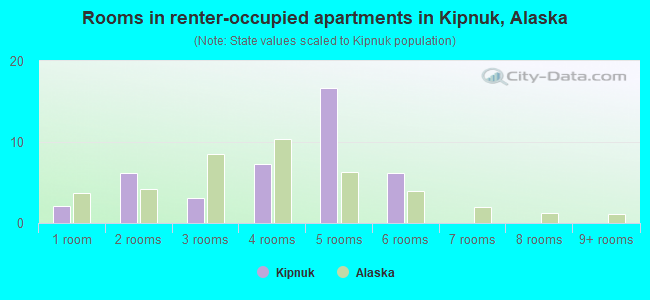 Rooms in renter-occupied apartments in Kipnuk, Alaska
