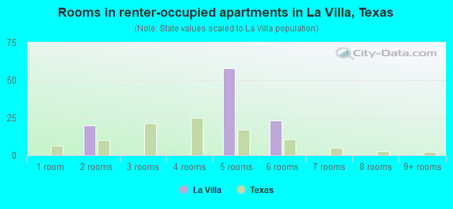 Rooms in renter-occupied apartments in La Villa, Texas