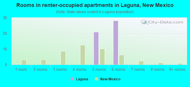 Rooms in renter-occupied apartments in Laguna, New Mexico