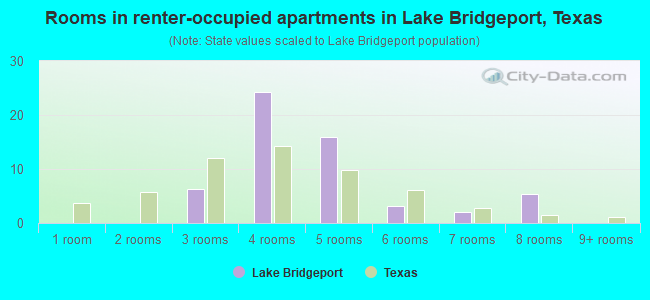 Rooms in renter-occupied apartments in Lake Bridgeport, Texas