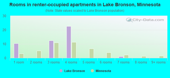 Rooms in renter-occupied apartments in Lake Bronson, Minnesota