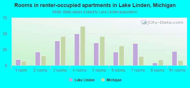 Rooms in renter-occupied apartments in Lake Linden, Michigan