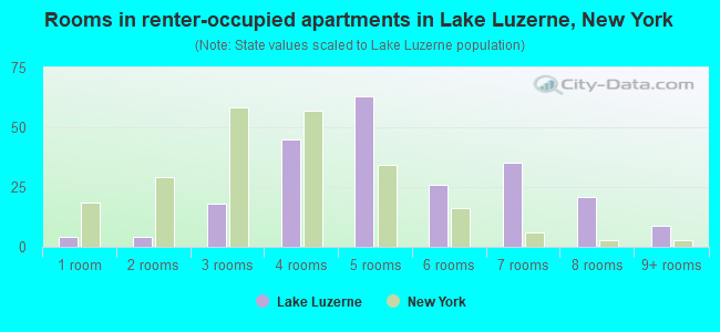 Rooms in renter-occupied apartments in Lake Luzerne, New York