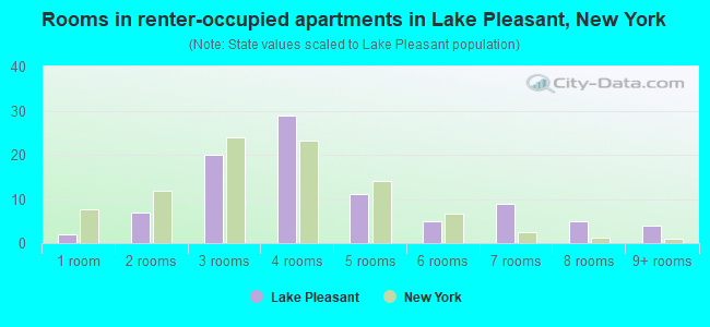 Rooms in renter-occupied apartments in Lake Pleasant, New York