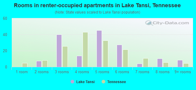 Rooms in renter-occupied apartments in Lake Tansi, Tennessee