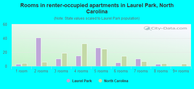 Rooms in renter-occupied apartments in Laurel Park, North Carolina