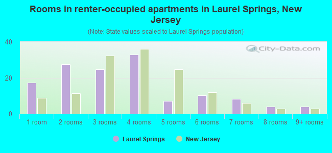 Rooms in renter-occupied apartments in Laurel Springs, New Jersey