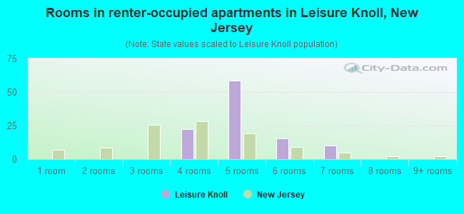 Rooms in renter-occupied apartments in Leisure Knoll, New Jersey