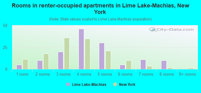 Rooms in renter-occupied apartments in Lime Lake-Machias, New York