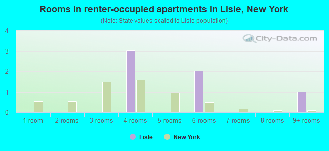 Rooms in renter-occupied apartments in Lisle, New York