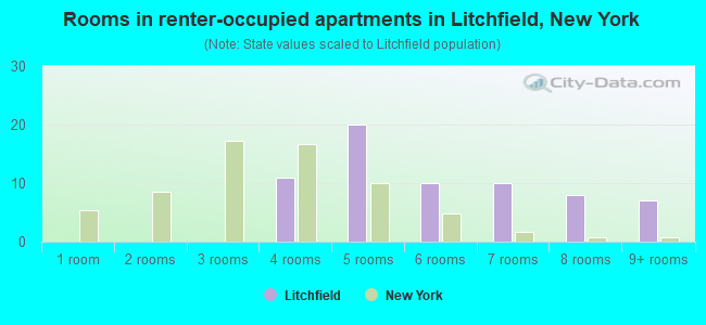 Rooms in renter-occupied apartments in Litchfield, New York