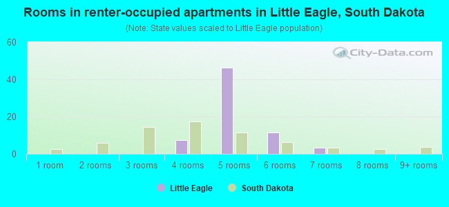 Rooms in renter-occupied apartments in Little Eagle, South Dakota