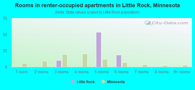 Rooms in renter-occupied apartments in Little Rock, Minnesota