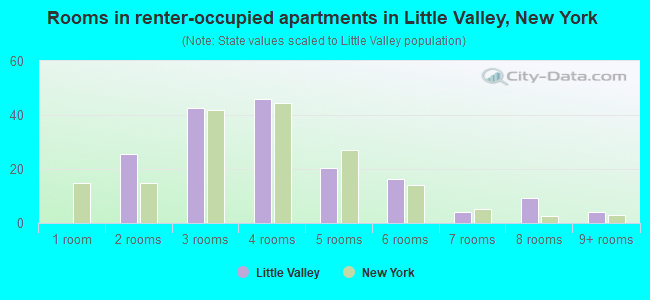 Rooms in renter-occupied apartments in Little Valley, New York