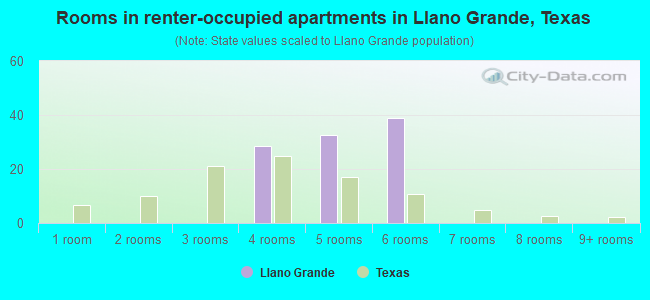 Rooms in renter-occupied apartments in Llano Grande, Texas