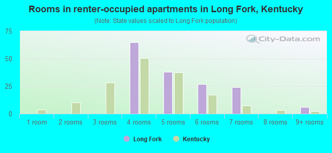 Rooms in renter-occupied apartments in Long Fork, Kentucky