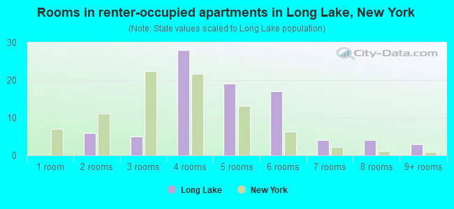 Rooms in renter-occupied apartments in Long Lake, New York