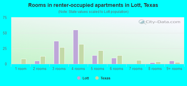 Rooms in renter-occupied apartments in Lott, Texas