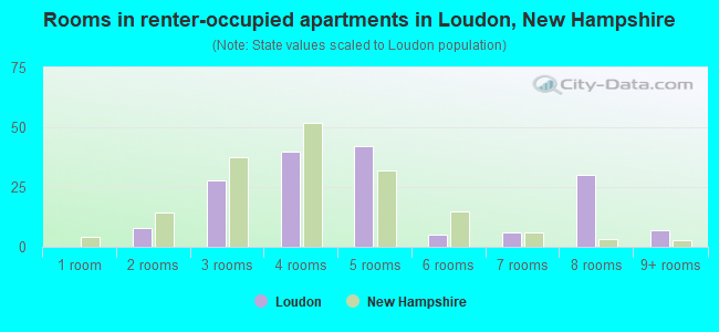 Rooms in renter-occupied apartments in Loudon, New Hampshire