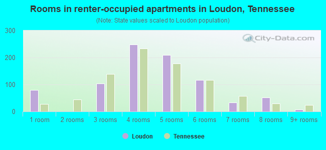 Rooms in renter-occupied apartments in Loudon, Tennessee