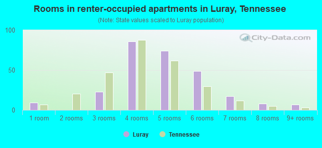 Rooms in renter-occupied apartments in Luray, Tennessee