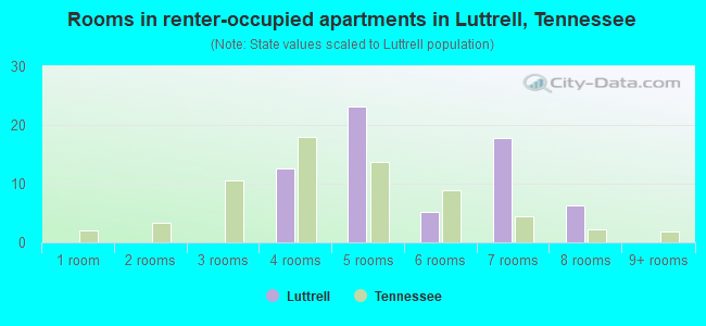 Rooms in renter-occupied apartments in Luttrell, Tennessee