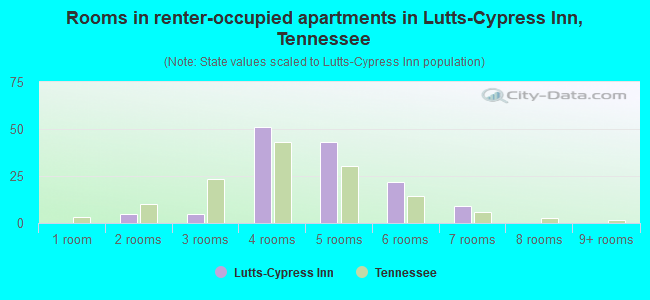 Rooms in renter-occupied apartments in Lutts-Cypress Inn, Tennessee