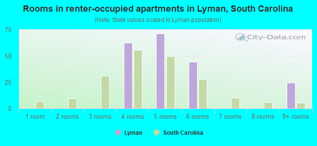Rooms in renter-occupied apartments in Lyman, South Carolina
