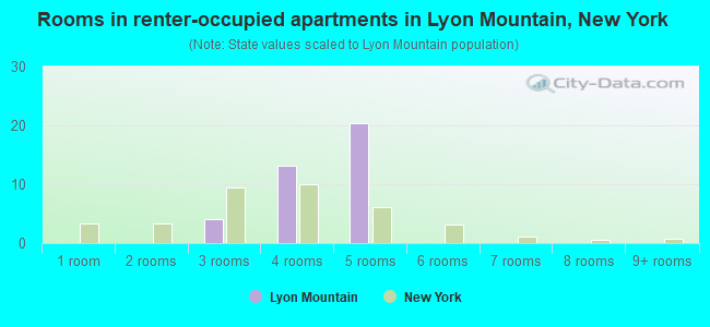 Rooms in renter-occupied apartments in Lyon Mountain, New York