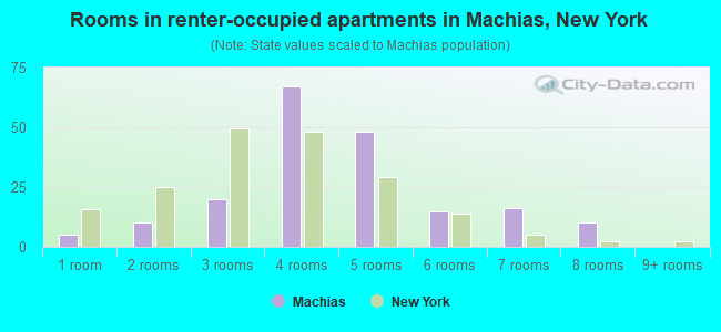 Rooms in renter-occupied apartments in Machias, New York