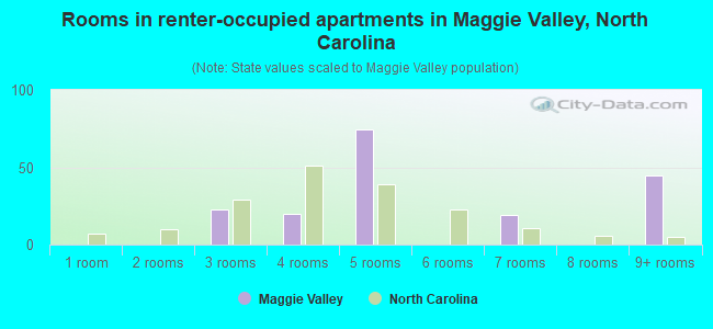 Rooms in renter-occupied apartments in Maggie Valley, North Carolina
